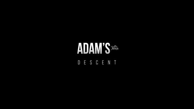 Adam's Descent