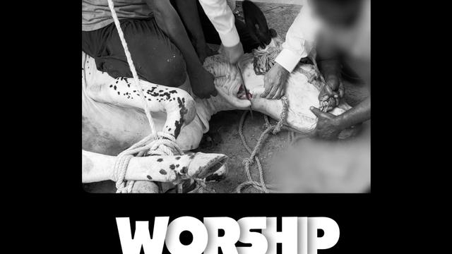 I am Free from what you Worship